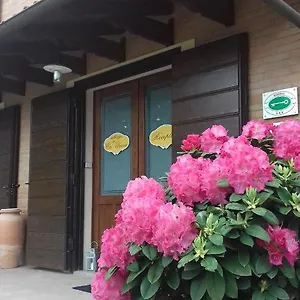 Da Ca' Vecia Spilamberto